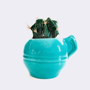 [Prueba] Producto Canarias